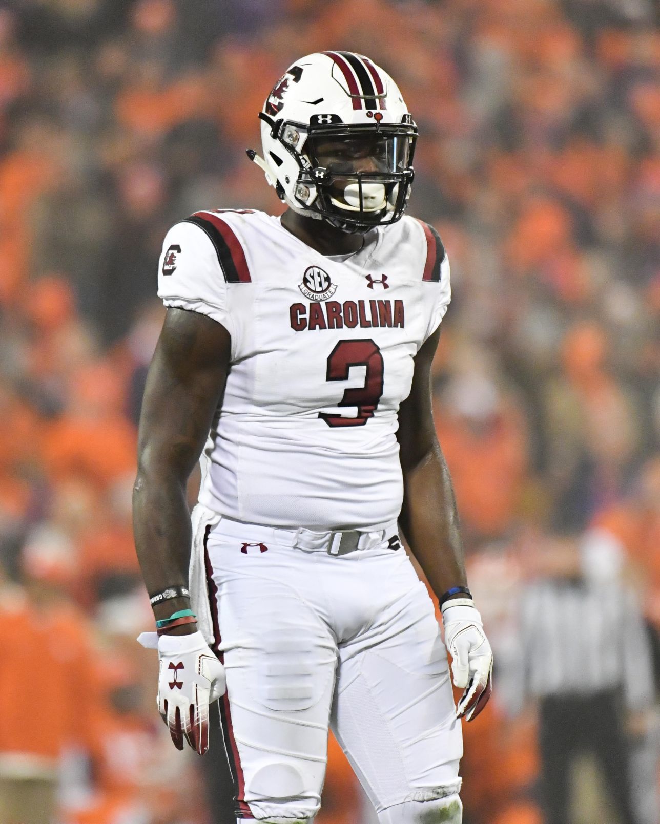 Clemson vs South Carolina 2018-85.jpg